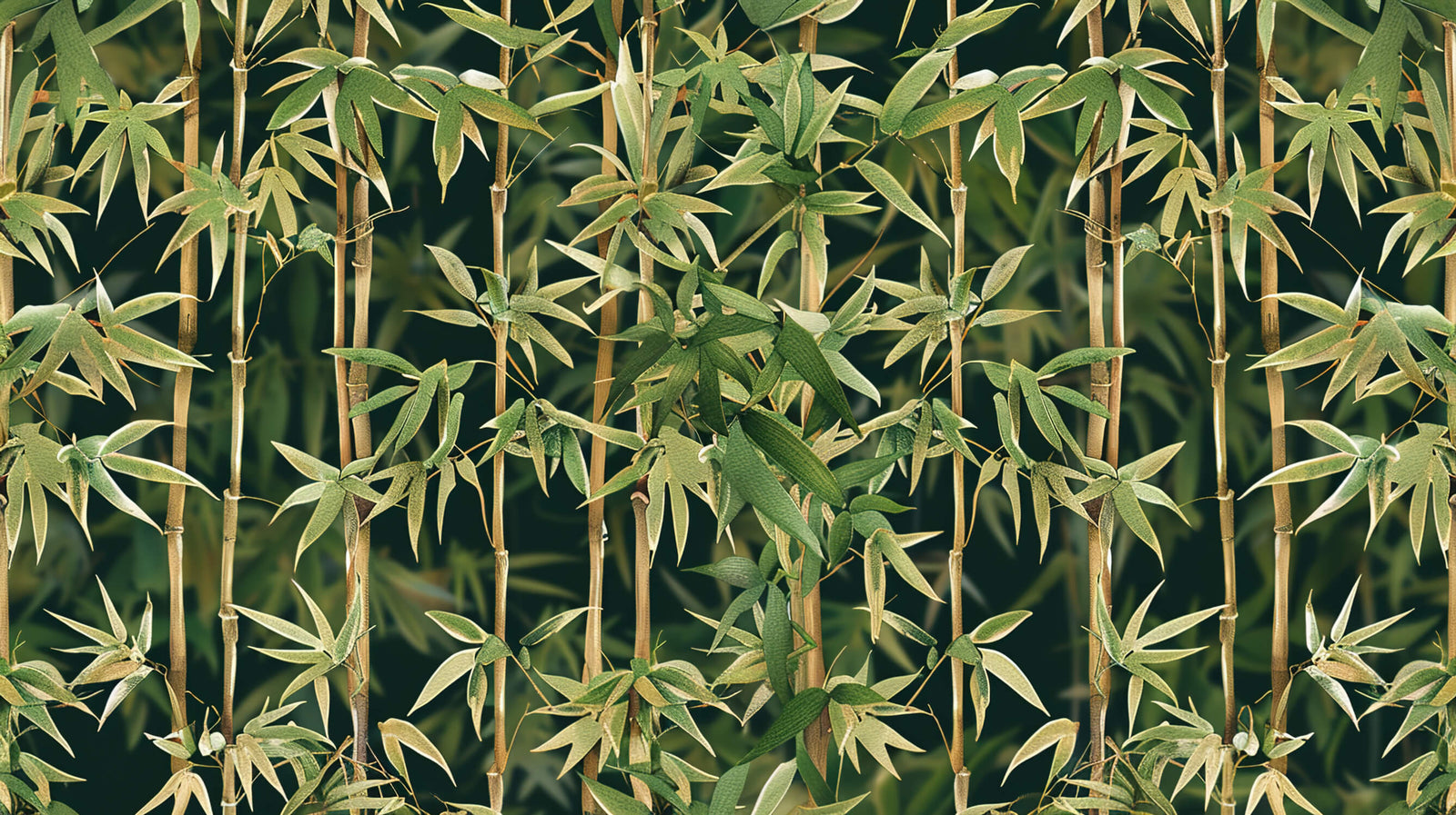 Forest Wallpaper - Golden Bamboos