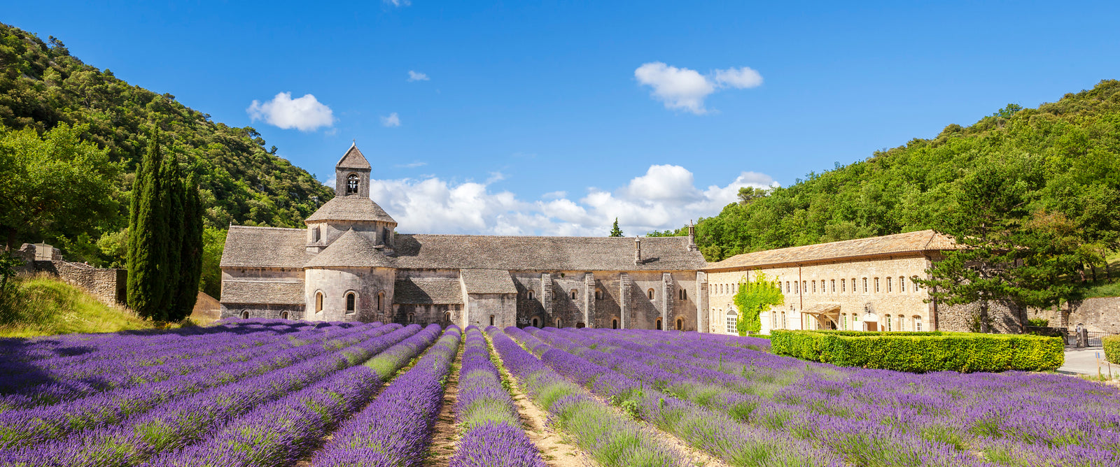 Papier peint campagne - abbaye provençale