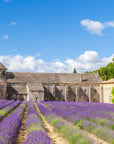 Papier peint campagne - abbaye provençale