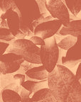 Papier Peint Abstrait - Feuillage Terracotta