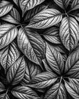 Nature wallpaper - black and white leaf carpet