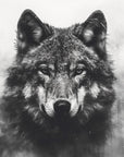 Papier Peint Noir Et Blanc - Loup Sauvage