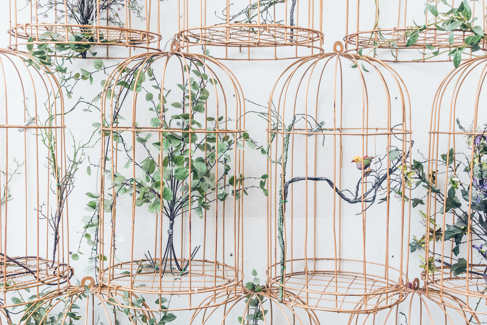 Papier peint décoratif – Cages végétales poétiques