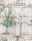 Decorative wallpaper – Poetic plant cages
