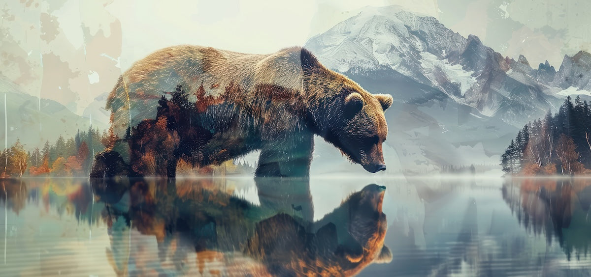 Papier peint animaux - ours brun au bord d'un lac de montagne