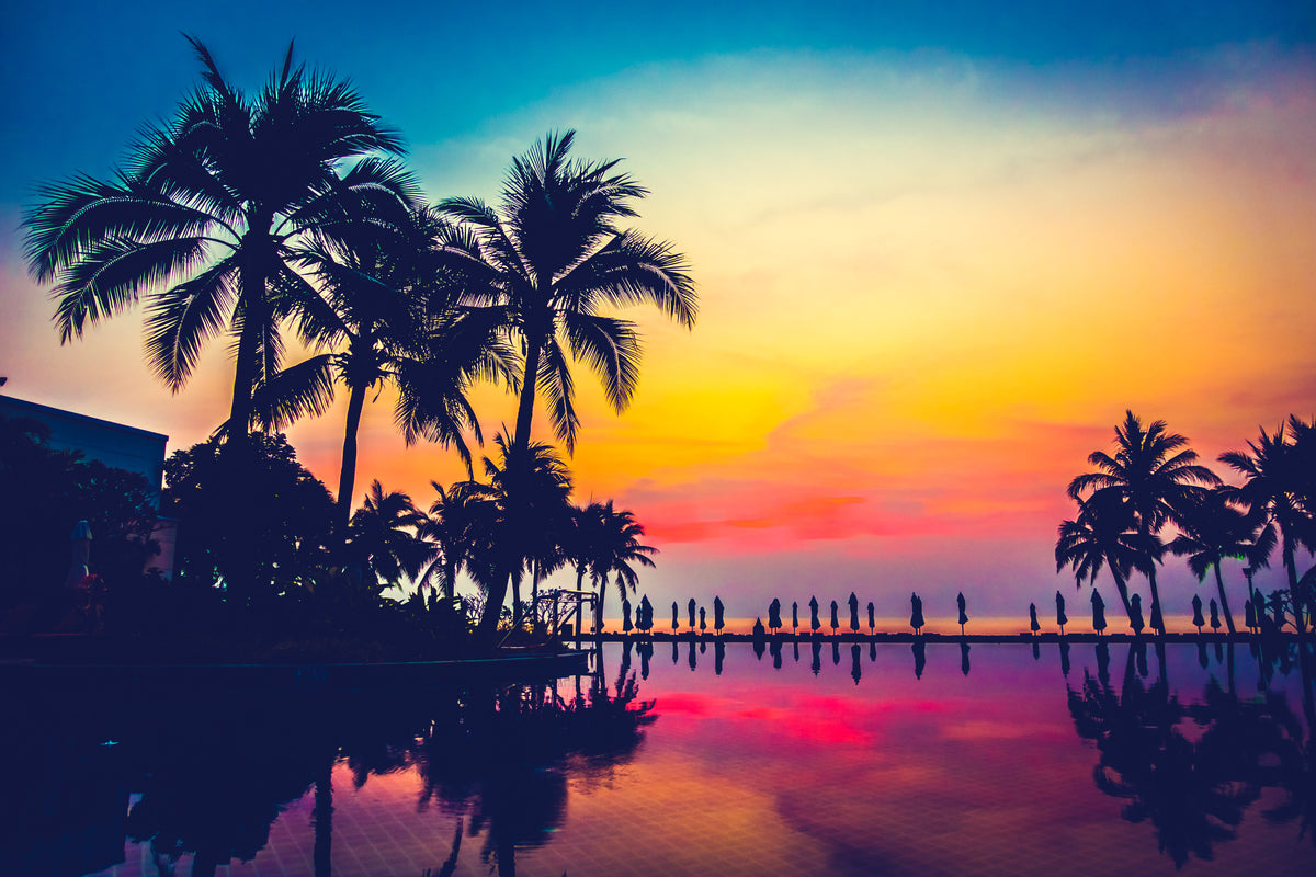 Papier peint tropical - Palmiers et coucher de soleil