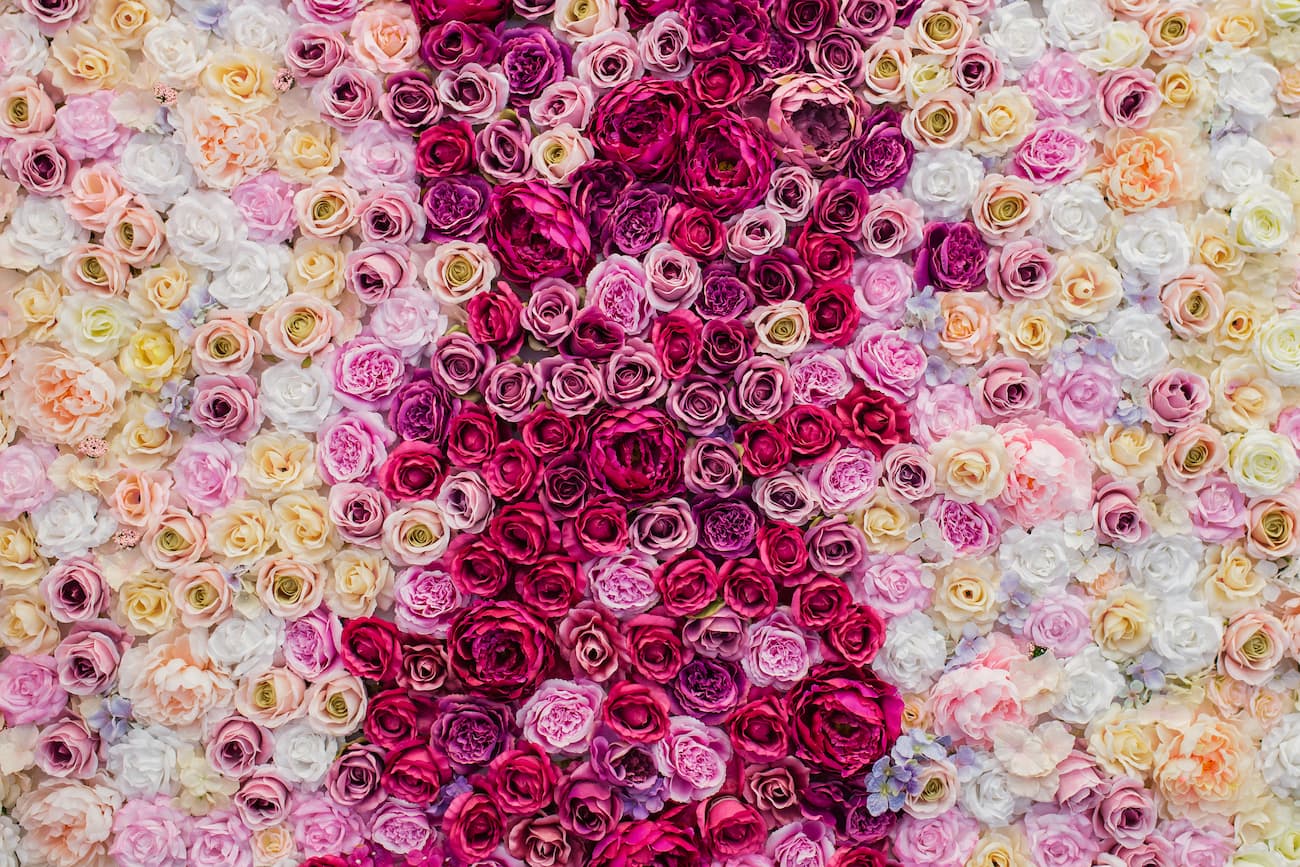 Floral Wallpaper - Faded Rose Wall