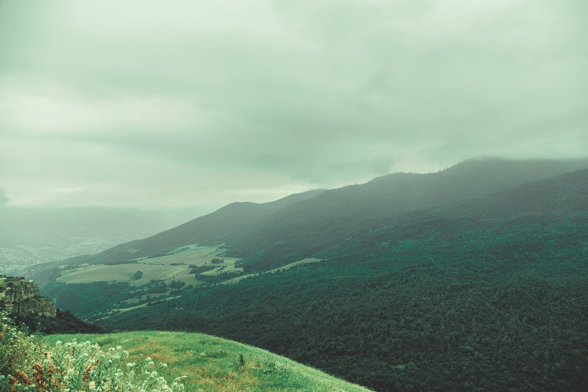 Papier Peint Paysage - Collines Verdoyantes