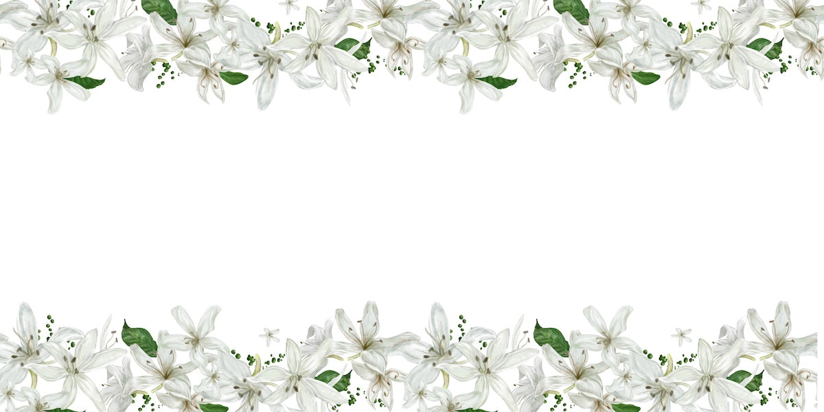 Papier peint fleuri - frise guirlande blanche