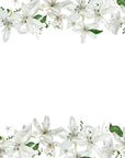 Papier peint fleuri - frise guirlande blanche