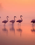 Papier Peint Tropical - Flamants Roses