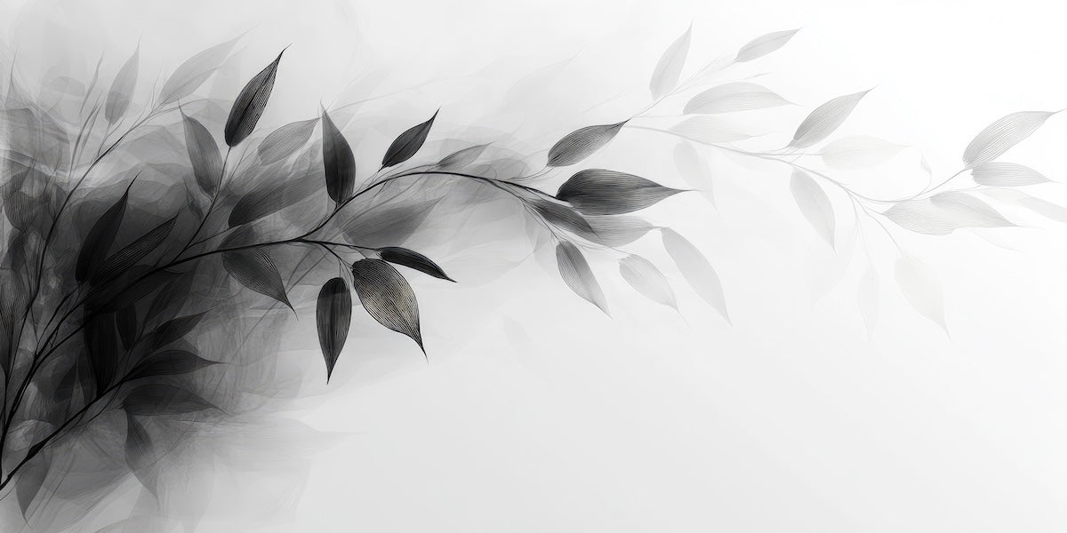Papier peint nature - branches de saule en noir et blanc