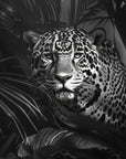 Papier Peint Tropical - Tigre Noir Et Blanc