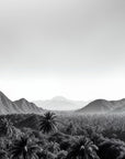 Papier Peint Noir Et Blanc - Montagne Jungle