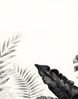 Papier peint nature - frise végétale en noir et blanc