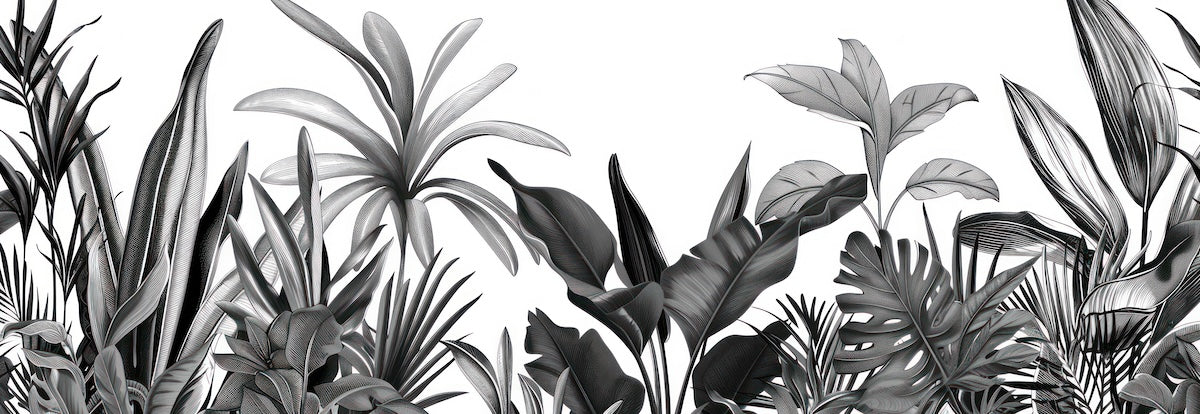 Papier peint nature - feuillage exotique en noir et blanc