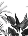 Papier peint nature - feuillage exotique en noir et blanc