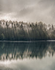 Papier Peint Nature - Baie Brumeuse des Pins