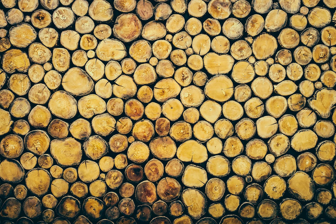 Wood Wallpaper - Stacked Logs