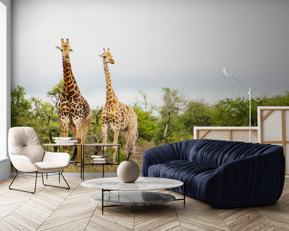Landscape Wallpaper - Giraffes in Savannah