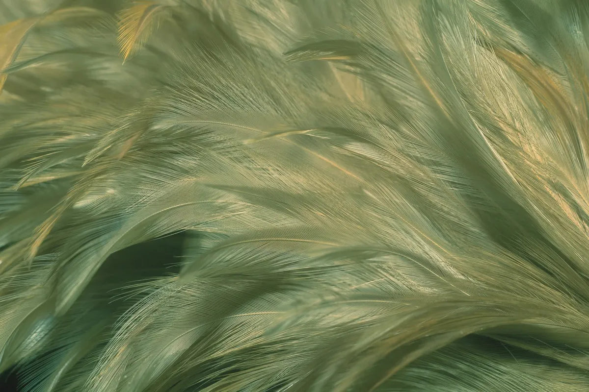 Papier Peint Feuillage - Plumes Délicates en Vert Pastel