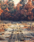 Papier peint forêt - sous-bois d'automne