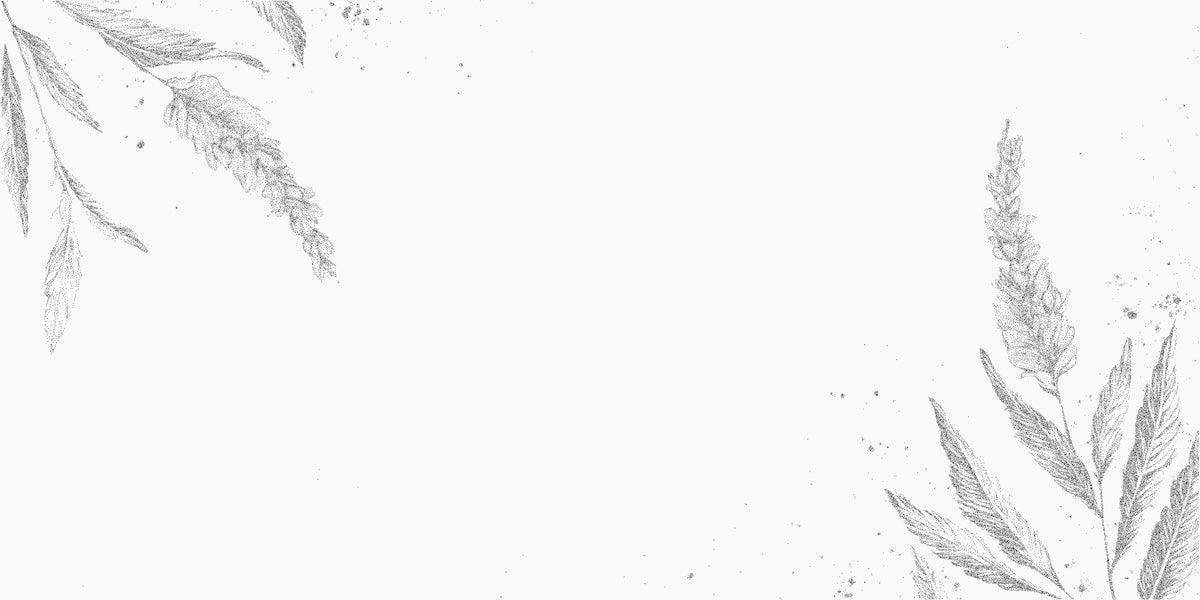 Papier peint nature - herbes légères en noir et blanc