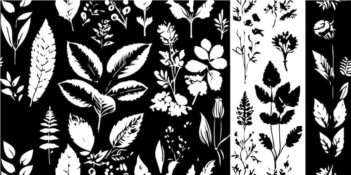 Papier peint nature - herbiers et fleurs sauvages sombres