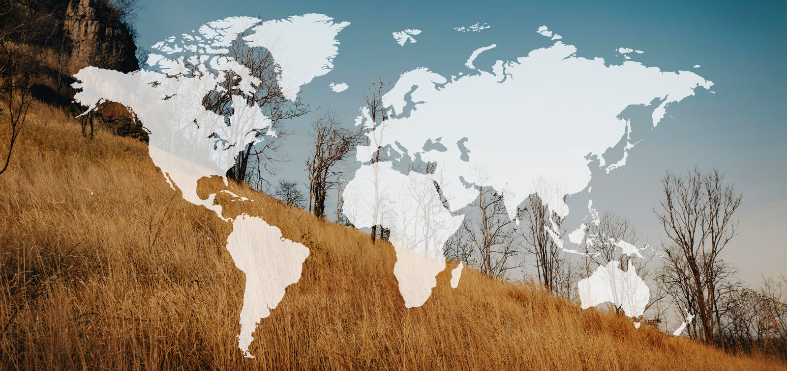 papier peint carte du monde – horizons d’aventure