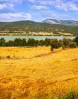 Landscape wallpaper – Golden valley and peaceful river
