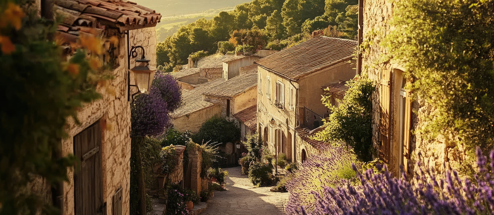 Papier peint campagne - village perché de provence