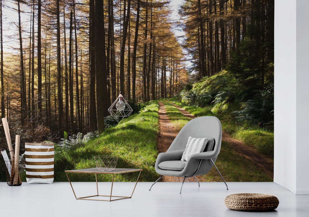 Forest Wallpaper - Enchanted Path