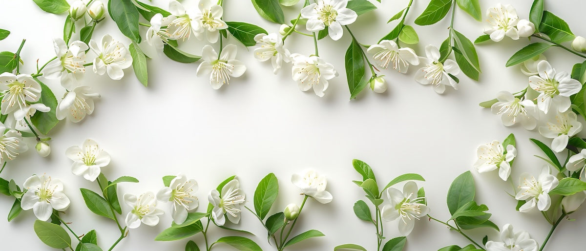Papier peint fleuri - jasmin blanc naturel