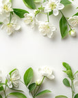 Papier peint fleuri - jasmin blanc naturel