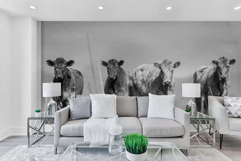 Papier Peint Nature - Vaches Highland