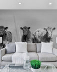 Papier Peint Nature - Vaches Highland