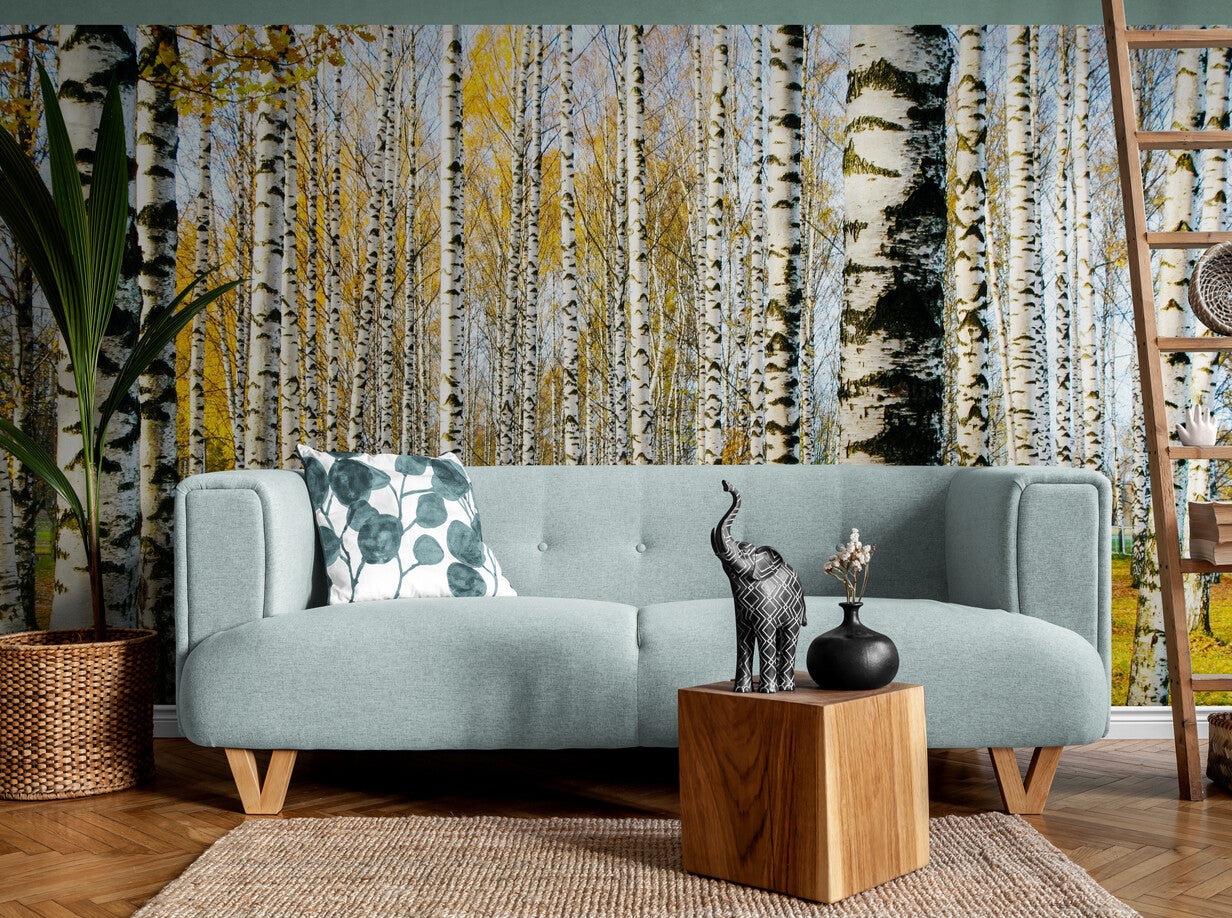 Forest Wallpaper - Autumn Birches