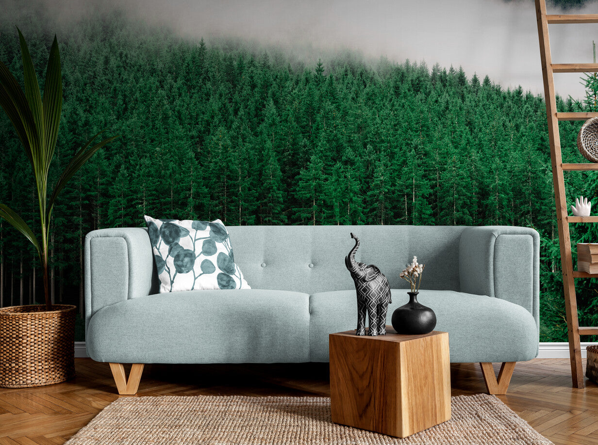 Forest Wallpaper - Fir Trees and Clouds