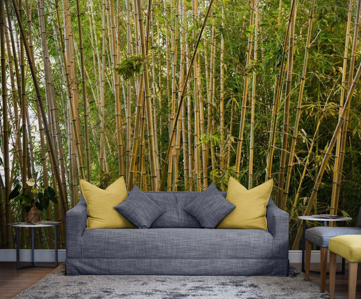 Japanese Wallpaper - Bamboo Forest