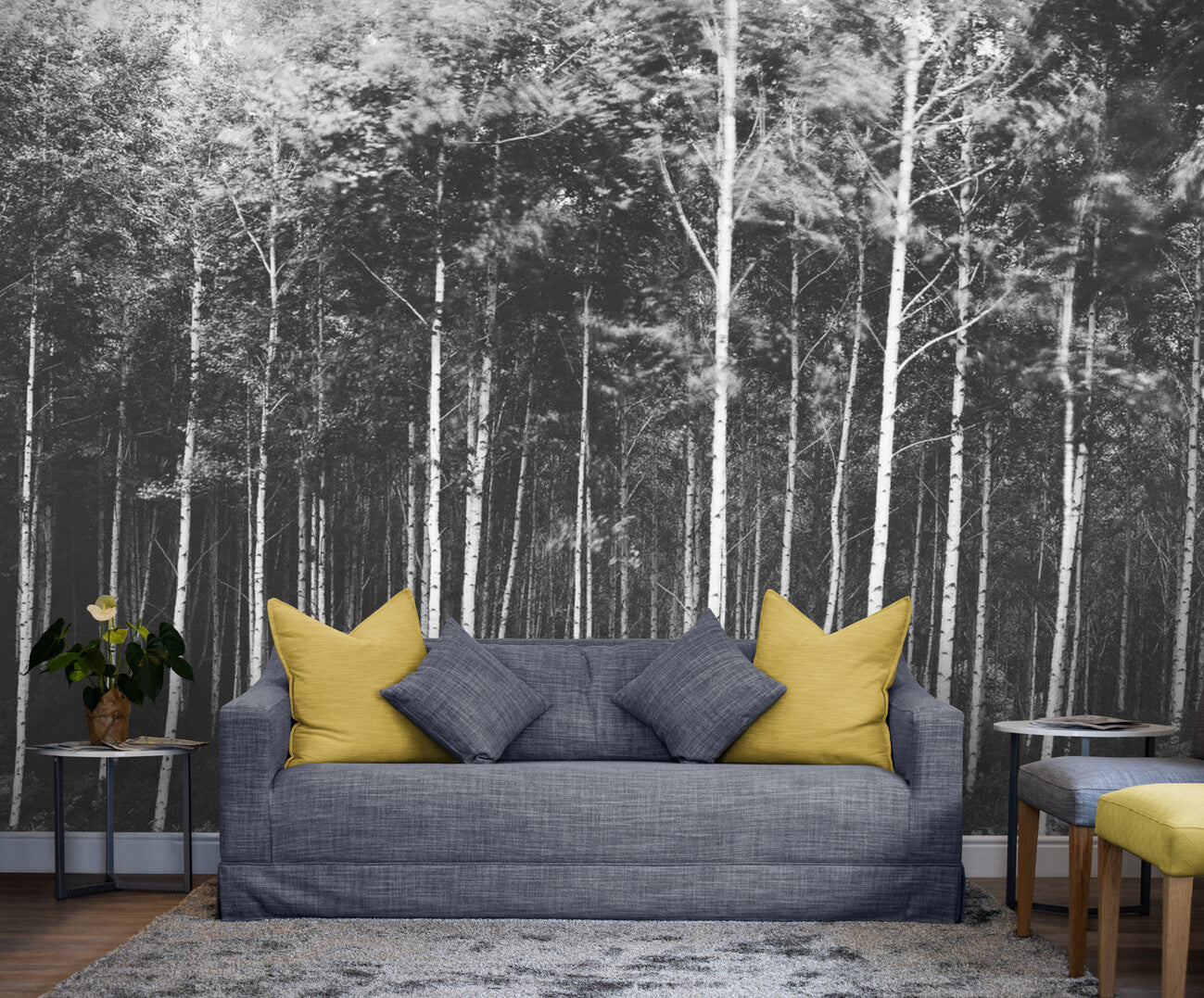 Black and White Wallpaper - Serene Forest