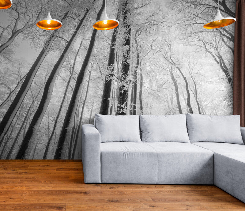 Papier Peint Paysage - Arbres Noir Et Blanc