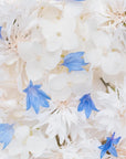 Papier Peint Floral - Délicatesse Florale