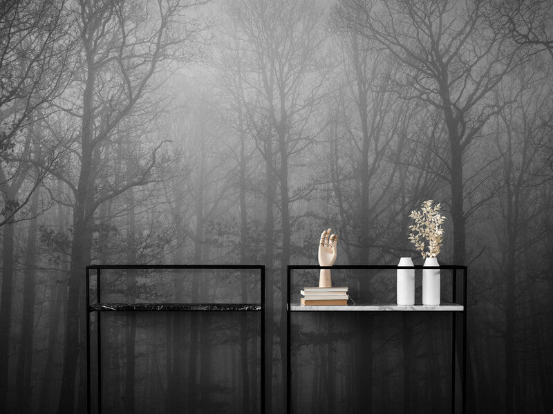 Papier Peint Paysage - Forêt Noir Et Blanc