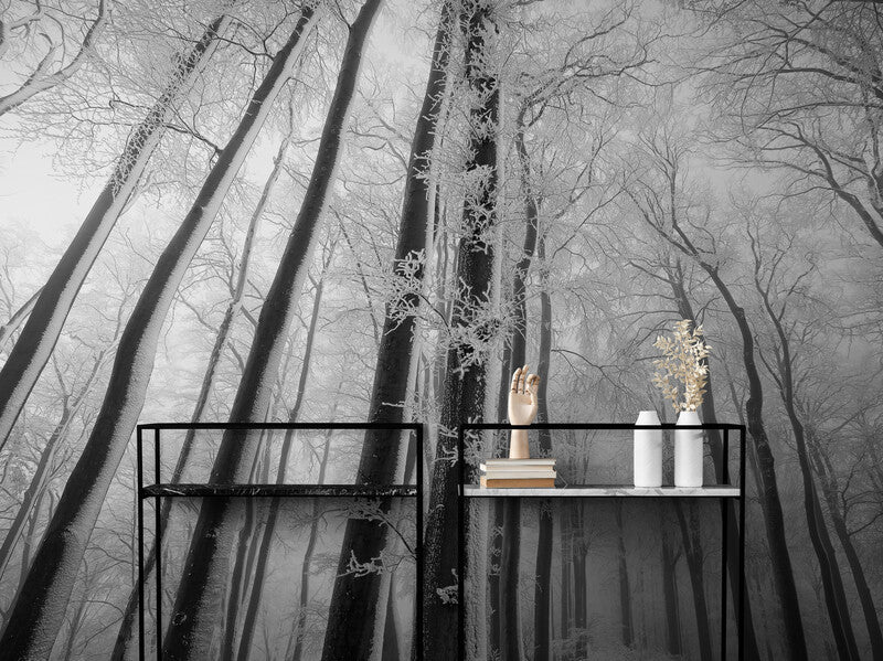 Papier Peint Paysage - Arbres Noir Et Blanc