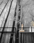 Papier Peint Paysage - Arbres Noir Et Blanc