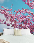 Papier Peint Nature - Ciel Bleu Et Branches De Cerisiers En Fleurs