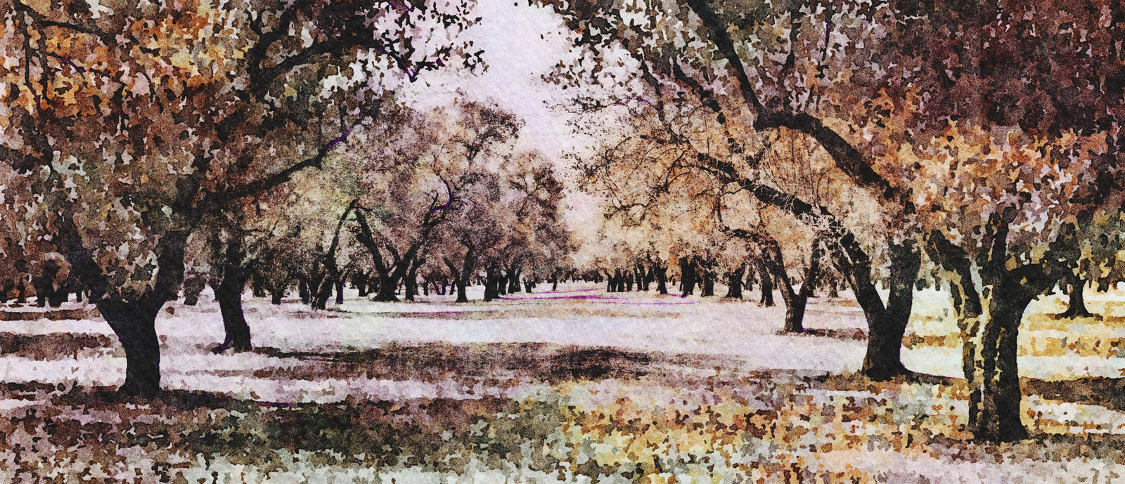 Papier peint campagne - verger aux fleurs blanches