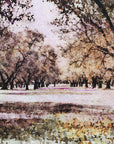 Papier peint campagne - verger aux fleurs blanches