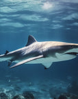 Papier peint animaux - requin blanc dans l'océan azur