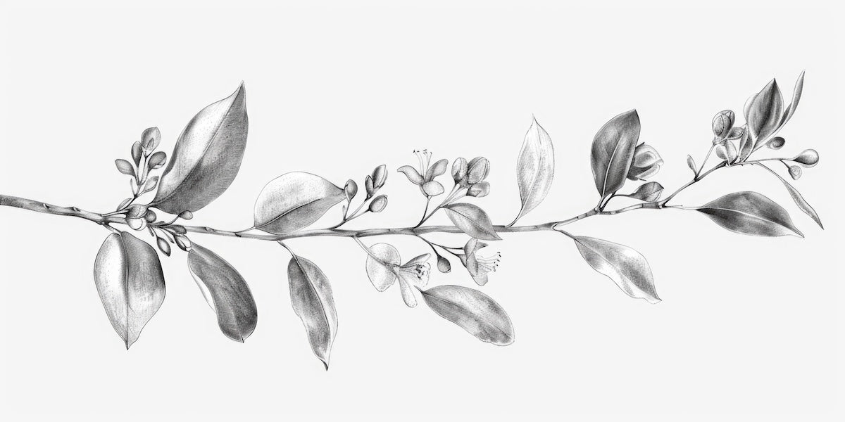 Papier peint nature - branche fleurie en noir et blanc